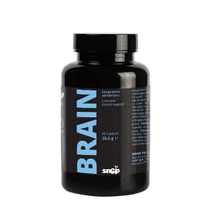 Brain Snep