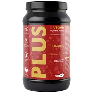plus vegan pandoro 1000g snep
